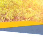 Newsletter del SEPIE